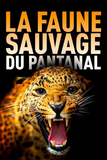 Among Big Cats and Anteaters - With Lydia Möcklinghoff in Brazil's wildlife (2021) poster