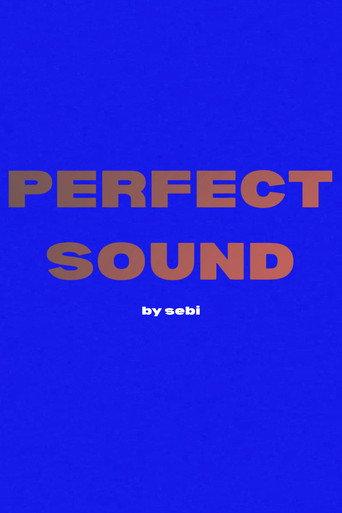 Perfect Sound (2025) poster