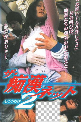 The Molester Net ACCESS 2 (1999) poster