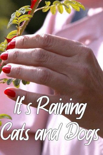 It's Raining Cats and Dogs (2022) poster