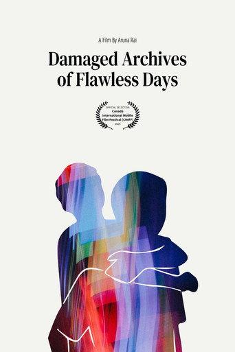 Damaged Archives of Flawless Days (2026) poster