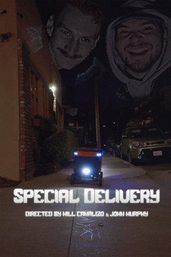 Special Delivery () poster