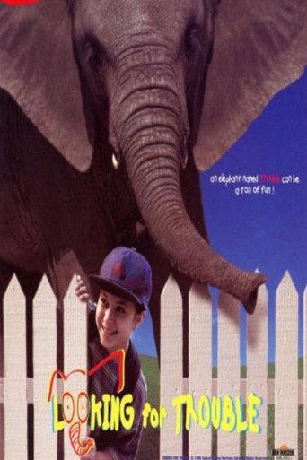 Looking for Trouble (1996) poster