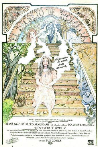 Romelia's Secret (1988) poster