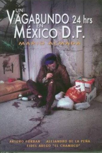 Un vagabundo 24 hrs. en México D.F. (1998) poster