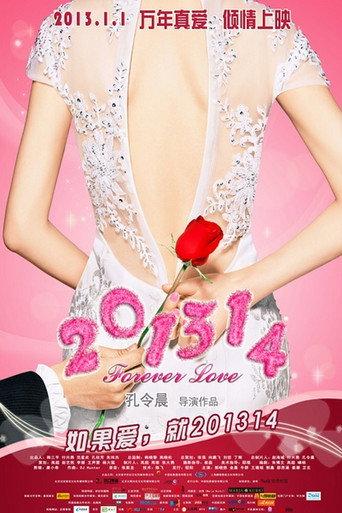 201314 (2013) poster