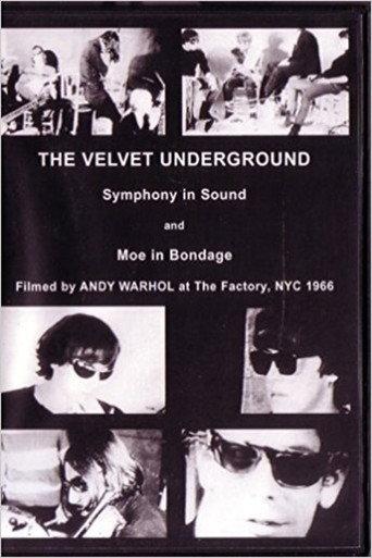 Moe Gets Tied Up (1966) poster