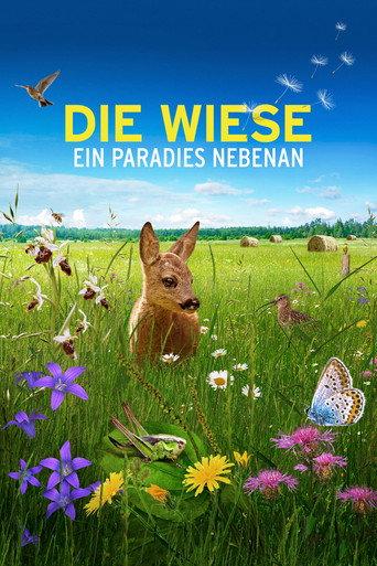 Die Wiese: Ein Paradies nebenan (2019) poster