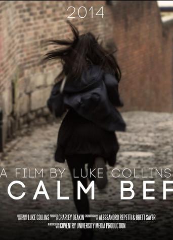 The Calm Before () poster