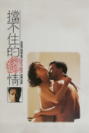 Don't Stop My Crazy Love for You (1993) poster