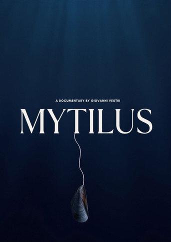 Mytilus () poster