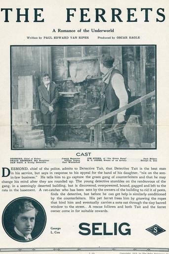 The Ferrets (1913) poster