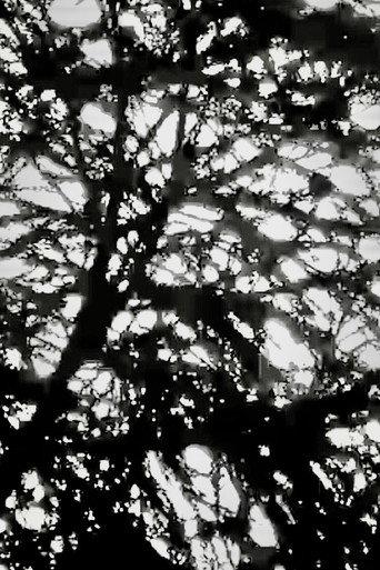 JINGU GAIEN FIREWORKS (2021) poster
