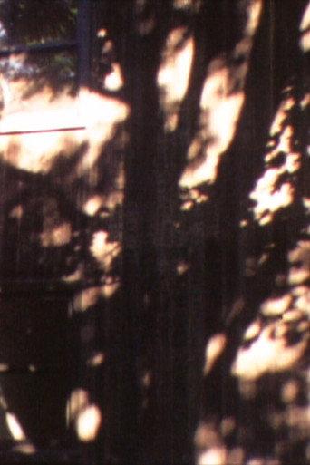 In A Tree’s Shadow (1996) poster