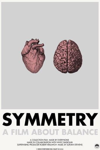 Symmetry (2011) poster