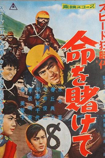 Speed Crazy (1959) poster