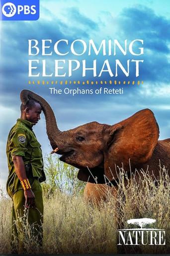 Becoming Elephant: The Orphans of Reteti (2026) poster