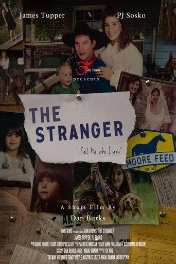 The Stranger (2022) poster