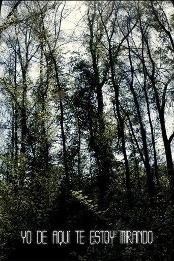 I'm Always Looking from Here (2011) poster