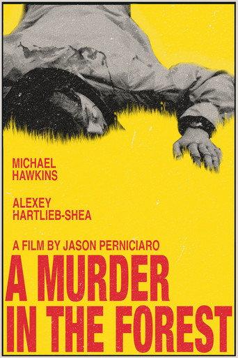 A Murder in the Forest () poster