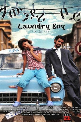 Laundry Boy (2010) poster