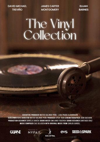 The Vinyl Collection () poster