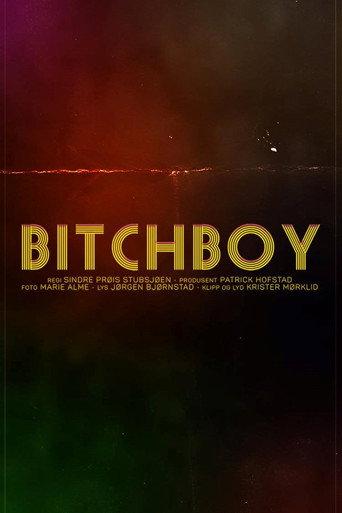 Bitchboy () poster