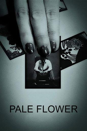 Pale Flower (1964) poster
