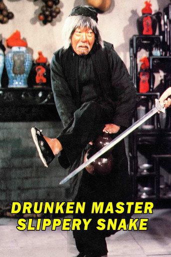 Mad Mad Kung Fu (1979) poster