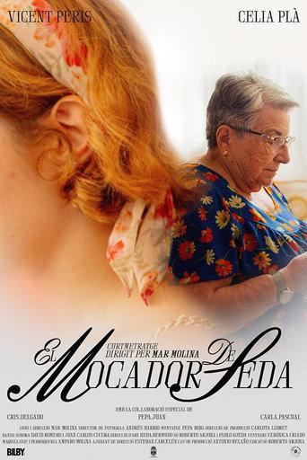 El mocador de seda (2025) poster