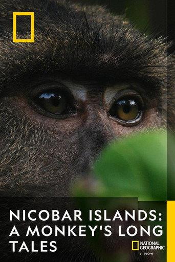 Nicobar Islands: A Monkey's Long Tale (2024) poster