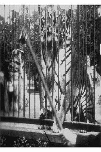 Tigers (1896) poster