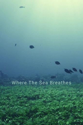 Where The Sea Breathes (2026) poster