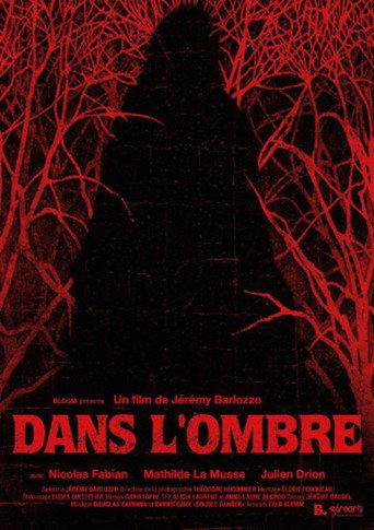 Dans l’ombre (2025) poster