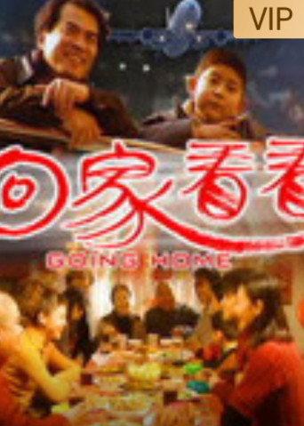 回家看看 (2005) poster