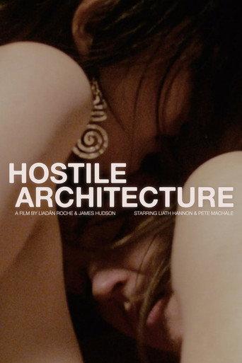 Hostile Architecture () poster