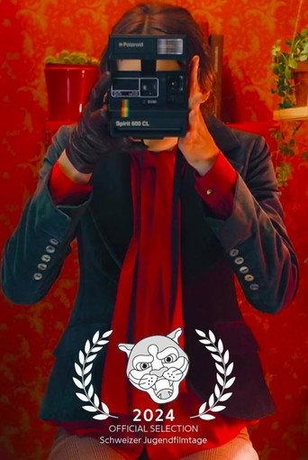 Diary of a Photobooth () poster