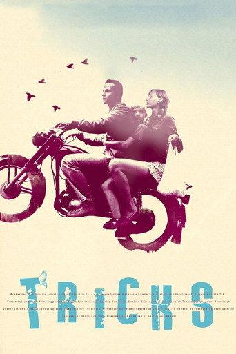 Tricks (2007) poster