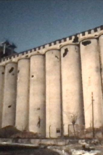 Silo Danube, Vukovar (1993) poster