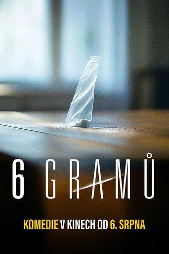 6 gramů (2026) poster