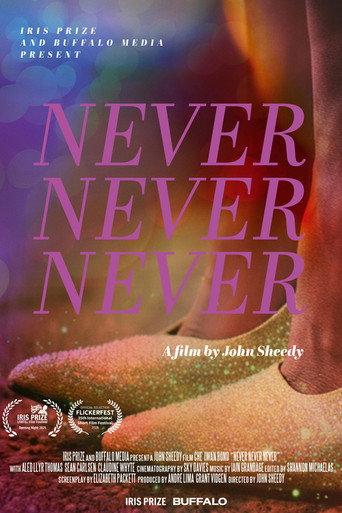 Never Never Never (2025) poster