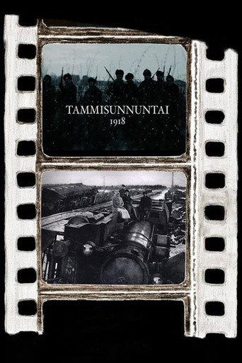 Tammisunnuntai 1918 (2017) poster