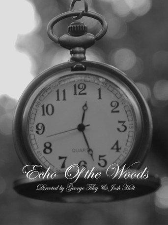 Echo of The Woods (2024) poster