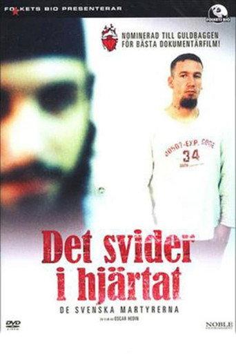 Aching Heart (2007) poster