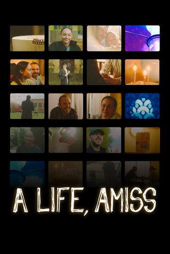 A Life, Amiss () poster