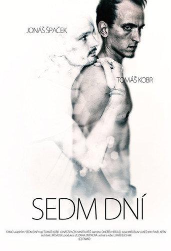 Seven Days (2012) poster