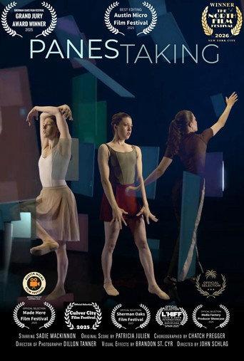 Panes Taking () poster