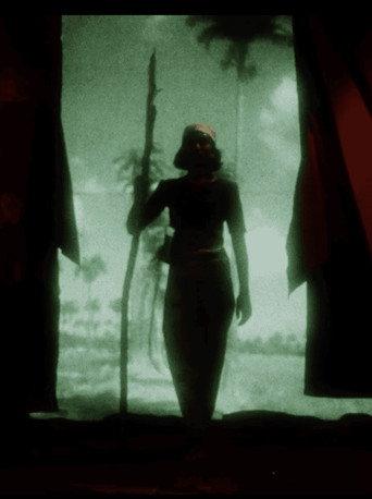 Coconut/Cane & Cutlass (1994) poster