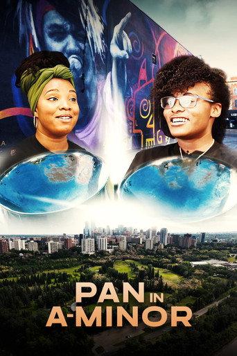 PAN in A-MINOR () poster