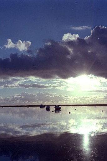 Estuary (1980) poster